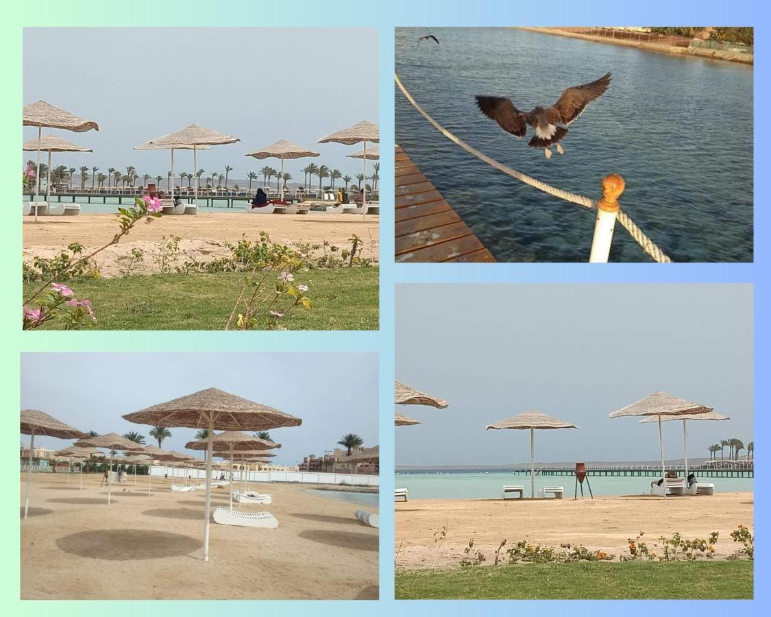 Scandic Resort In Hurghada, Egypt Bagian luar foto